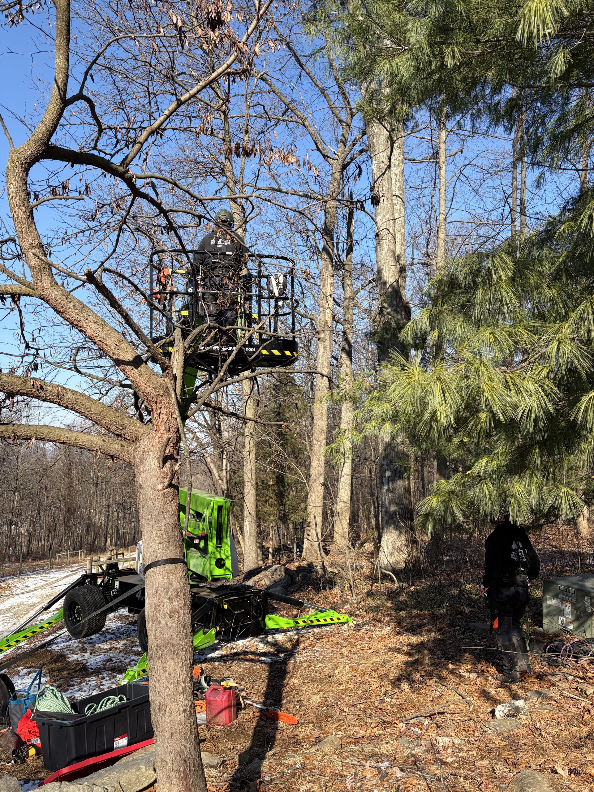 Trusted Tree Experts in South Central Pennsylvania & Northern Maryland